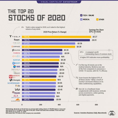 Lista das 20 ações que mais deram retornos em 2020. Fonte: Visual Capitalists.