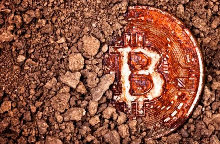 Analista que já entregou 2.295% de lucros revela 2 criptomoedas que podem decolar nos próximos meses