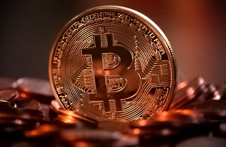 Hora de trocar criptomoedas por Bitcoin? Veterano explica o que fazer