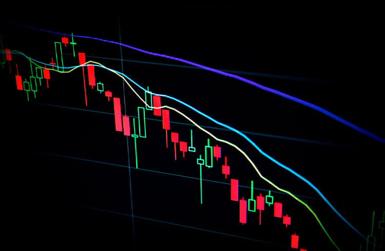 Investidores compartilham suas maiores perdas com criptomoedas