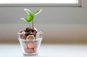 Analista conta em quais criptomoedas investirá R$ 5.000 em julho
