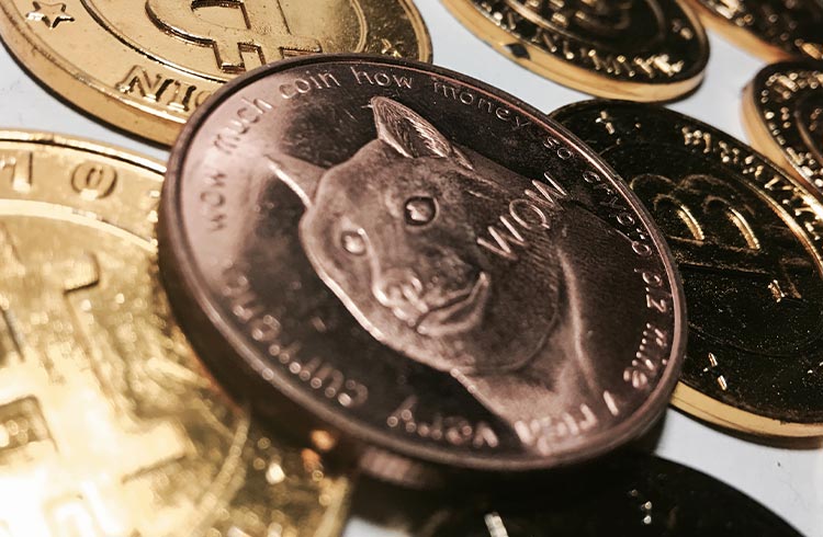 Brasileiro fica milionário com Dogecoin, não vende e perde R$ 830 mil em 1 dia