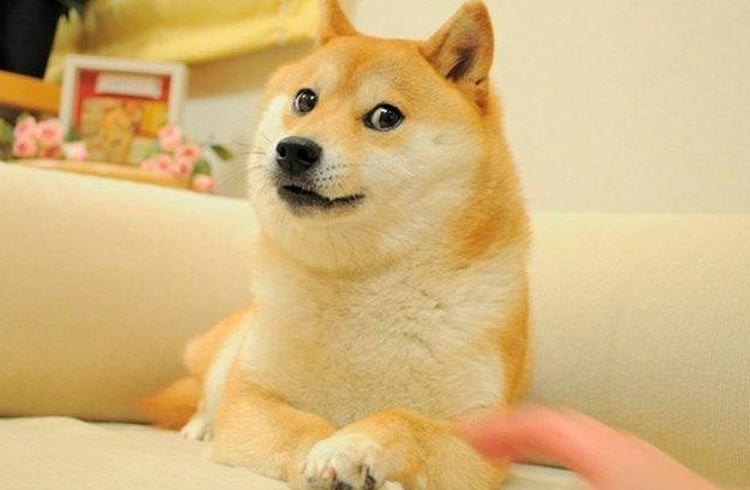 NFT do meme que originou a Dogecoin é vendido por quase R$ 20 milhões