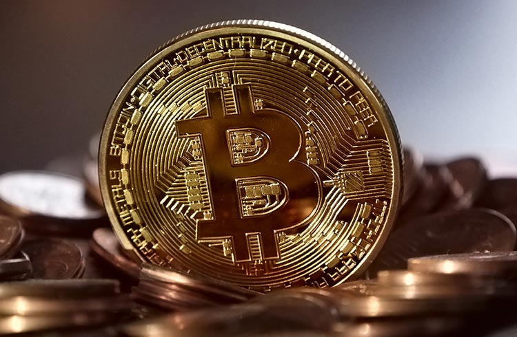 Voo de galinha ou nova alta: Bitcoin registra maior sequência de ganhos desde dezembro