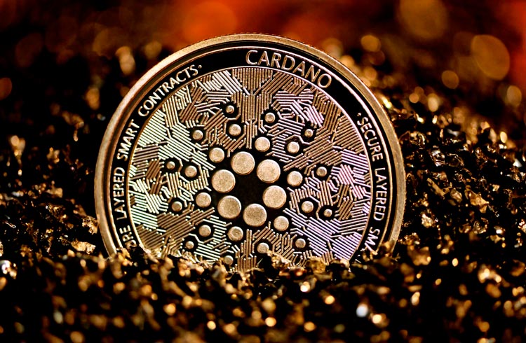 Cardano tem chances de subir 600%, prevê analista
