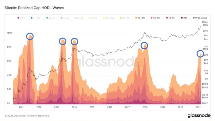 Bitcoin (BTC)