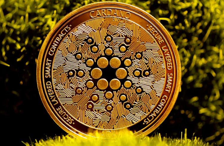 Preço da Cardano cai após críticas a rede de teste de contrato inteligente; entenda