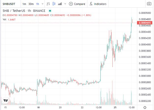 Gráfico de SHIB. Fonte: CoinGecko