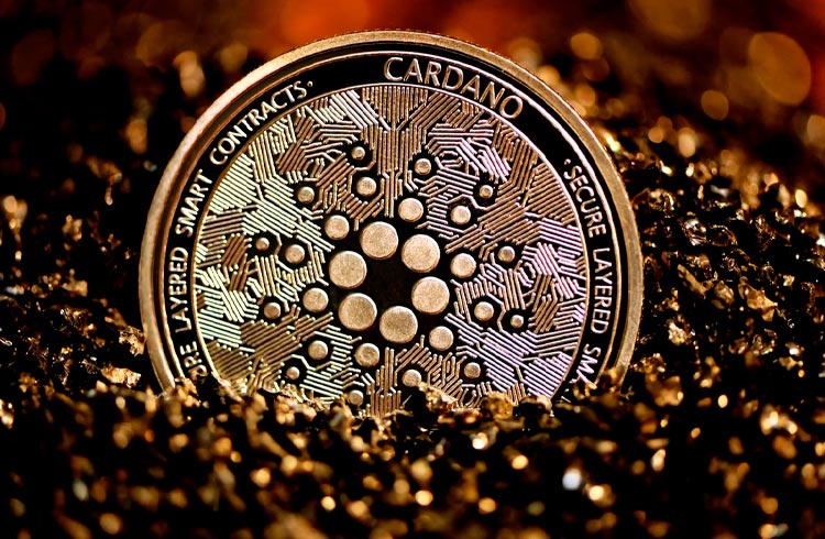 Considerada promissora, Cardano perde terreno e cai 30%