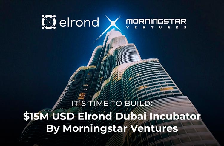 Morning Star Vetures investerar 15 miljoner dollar i Elrond-baserade projekt