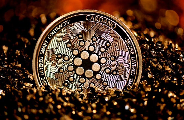 Cardano sofre queda de 50% em três meses e perde espaço para Elrond e tokens do Metaverso