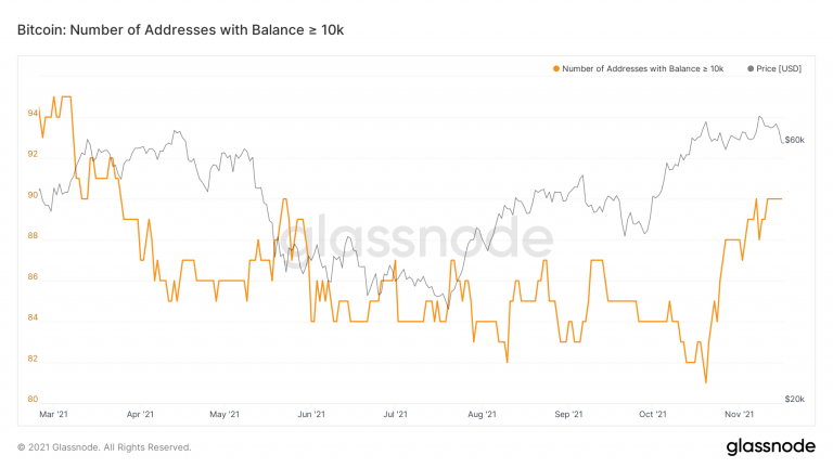 Glassnode：比特幣的增持