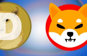 Shiba Inu ultrapassa Dogecoin momentaneamente