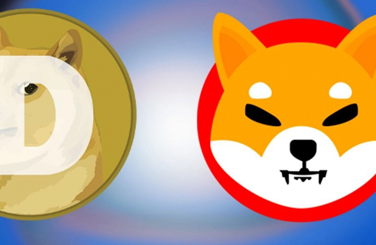 Shiba Inu ultrapassa Dogecoin momentaneamente