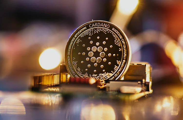 Touros da Cardano miram alta de 22% segundo analista