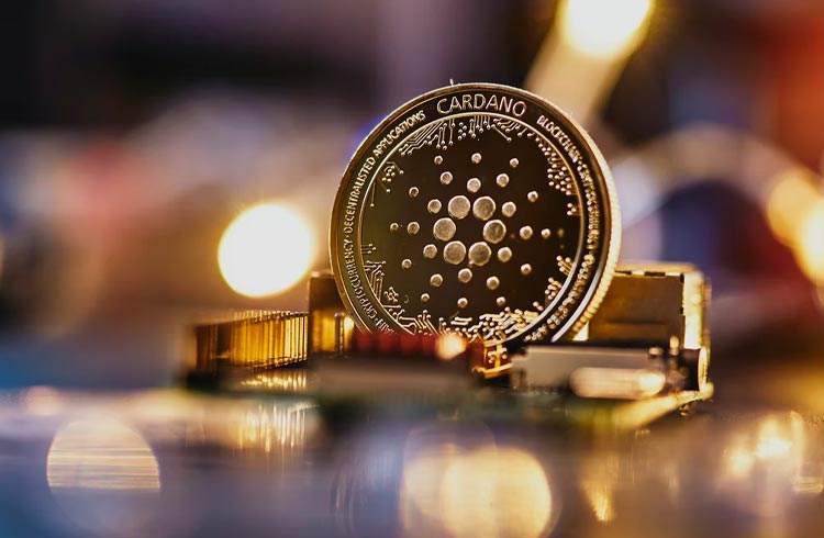 Analista diz que Cardano vai 'ressuscitar' para nova alta histórica