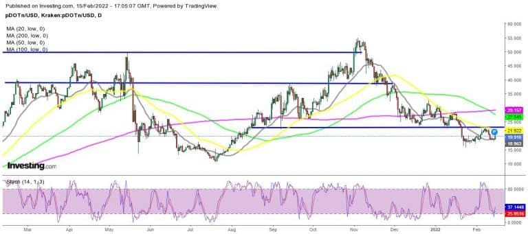 Polkadot Price Chart.  Source: FX Leaders