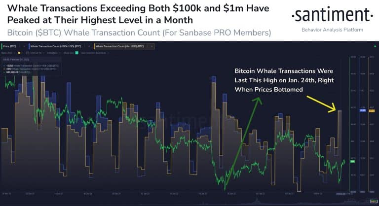 Number of high volume transactions made with BTC.  Source: Santiment.