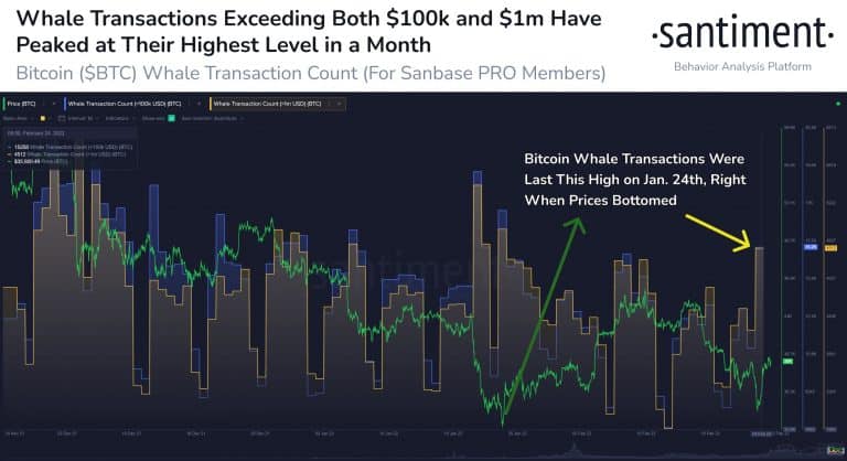 Número de transações de grande volume feitas com BTC. Fonte: Santiment.