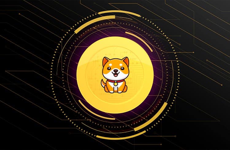 Baby Doge dispara 30% após listagem em exchange de criptomoedas