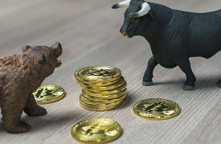 Bitcoin está em bear market, apontam dados on-chain; entenda