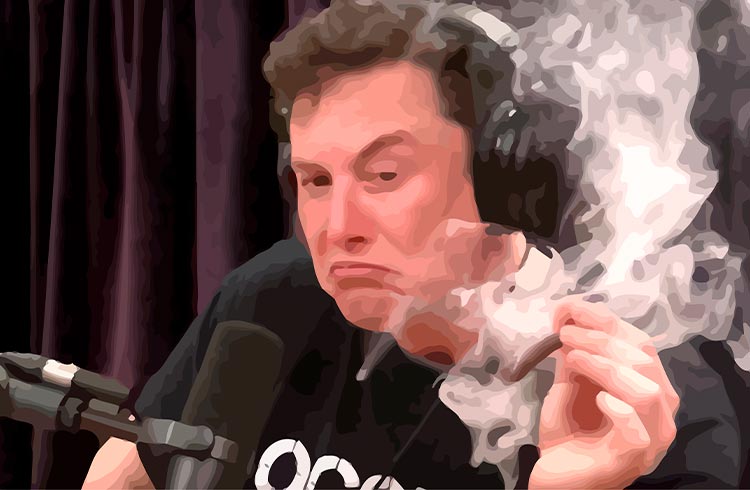 Criptomoeda-meme inspirada em Elon Musk sofre ataque e perde 99% do seu valor