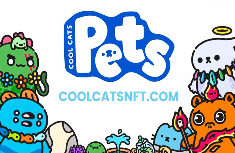 Preços das taxas de gas derrubam compradores em Cool Pets NFT caem à medida que as taxas de transação sobem 7.000%