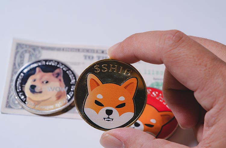 Shiba Inu deve subir 40% e Dogecoin cair 18% diz analista