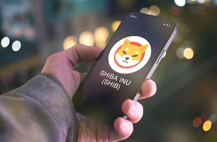 Shiba Inu (SHIB): shitcoin ou vale investir?