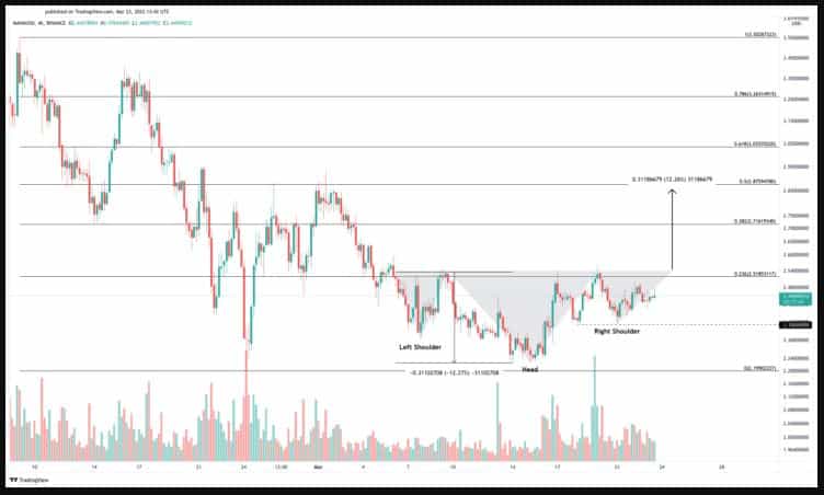 Fonte: Financial Insane