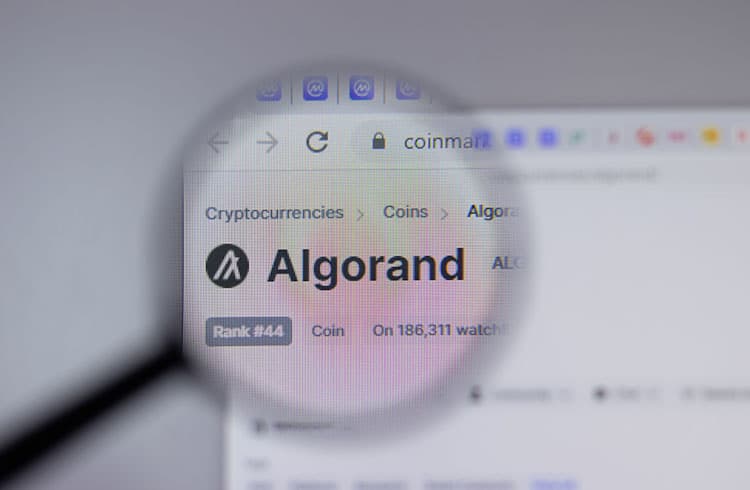 Algorand adiciona mais de 6 milhões de novas contas em 2022