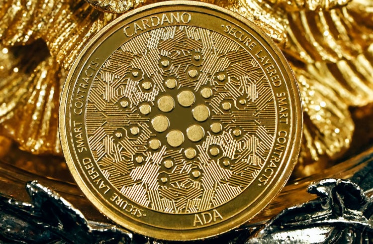 Baleias da Cardano vão as compras e acumulam ADA esperando alta