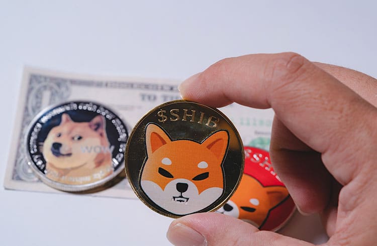 Binance distribui R$ 500 mil em Shiba Inu (SHIB) para novos usuários