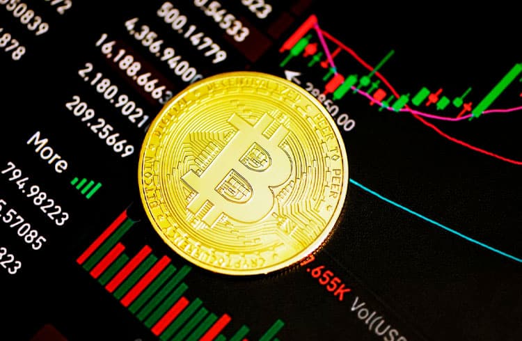 Bitcoin a caminho de atingir US$ 100 mil daqui a nove meses, prevê o CEO da Bitbull