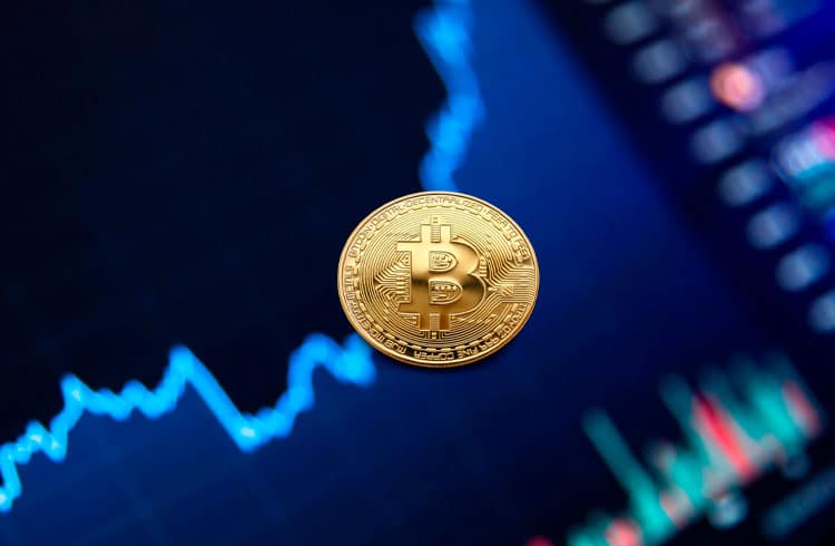 Bitcoin chega a US$ 42 mil e alta no mercado continua. Cardano e Polkadot sobem 6%; XRP sobe 4%