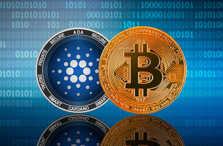Bitcoin e Cardano podem cair até 50%, diz popular analista