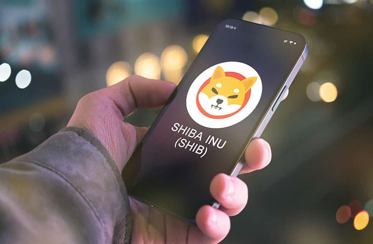 Empresário anuncia que vai queimar 10% do suprimento de Shiba Inu