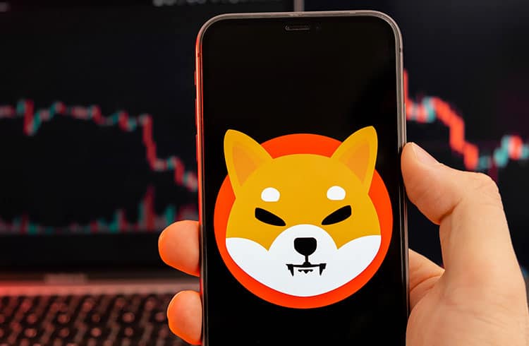 Shiba Inu aguarda alta de 15%, diz analisa