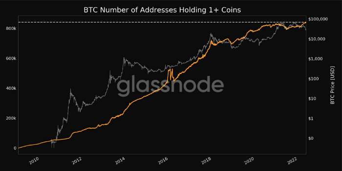 Número de endereços com mais de um BTC. Fonte: Glassnode.