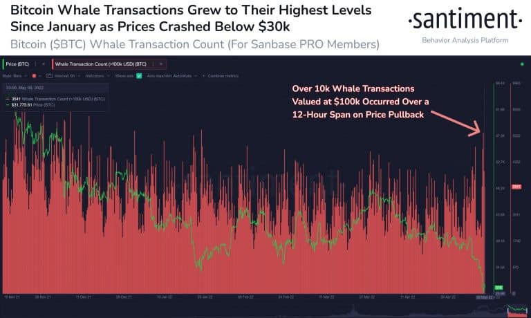 $1.28 billion in BTC returns to exchanges, but whales continue to accumulate BTC