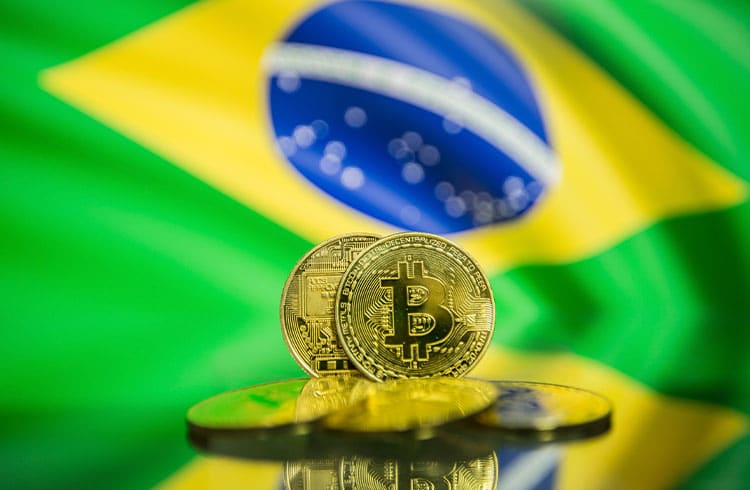 Falta de conhecimento impede brasileiros de investir em criptomoedas, revela estudo