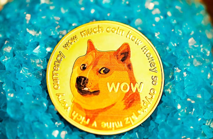 52% dos endereços Dogecoin seguem no lucro apesar da recente queda de preço