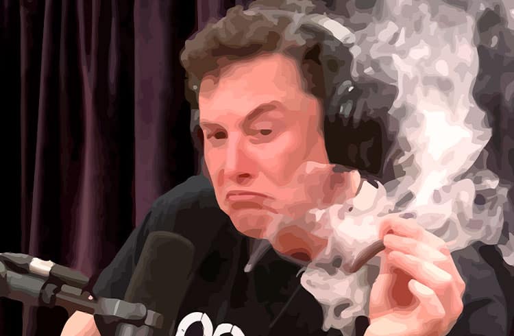 Homem processa Elon Musk de esquema de pirâmide com Dogecoin e pede R$ 1,3 bilhão