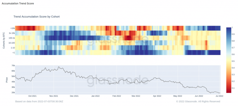 Gráfico de acúmulo de BTC por cor - Fonte: Glassnode