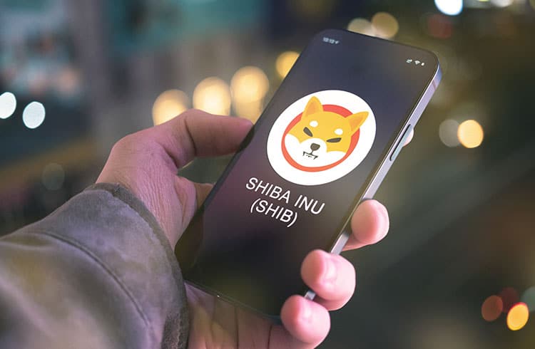 Shiba Inu anuncia stablecoin e token de recompensa para seu metaverso