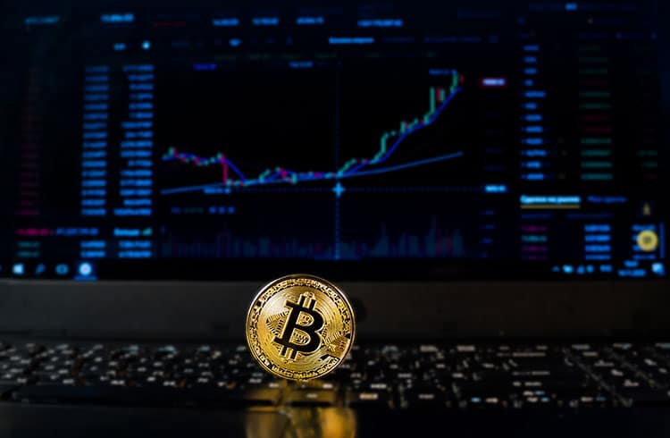 Bitcoin freia queda e altcoins registram alta de 7%. Queda do euro pode aquecer o mercado de criptomoedas