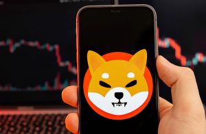 O preço do Shiba Inu está à beira de uma explosão de 39%, diz analista