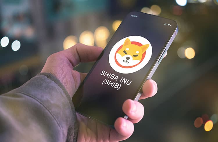 Preço do Shiba Inu oferece oportunidade de compra antes de alta de 50%, diz analista