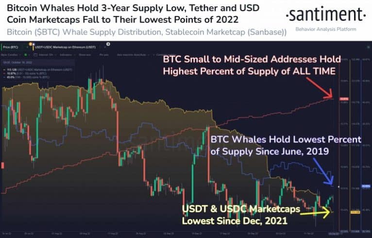 Queda na quantidade de BTC nas mãos de baleias. Fonte: Santiment.