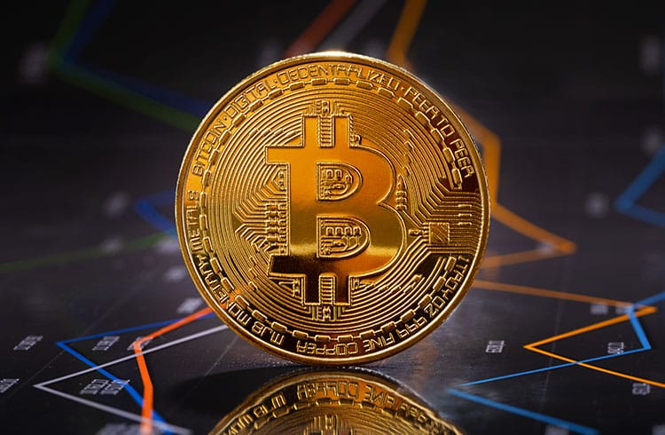 Baleias estão acumulando Bitcoin desde maio, revela novo levantamento